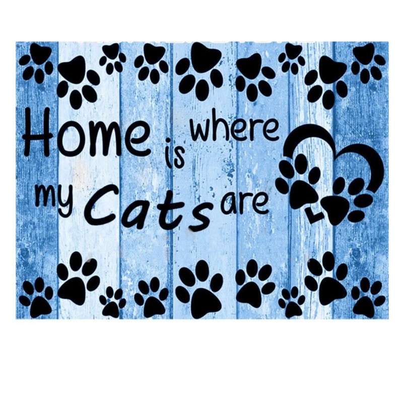 Home Is Where My Cat...