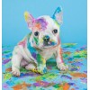 Franse Bulldog, Diamond Painting