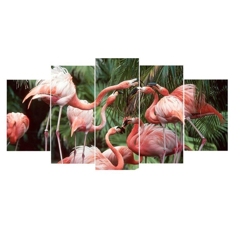 Flamingo, 5 Luiken