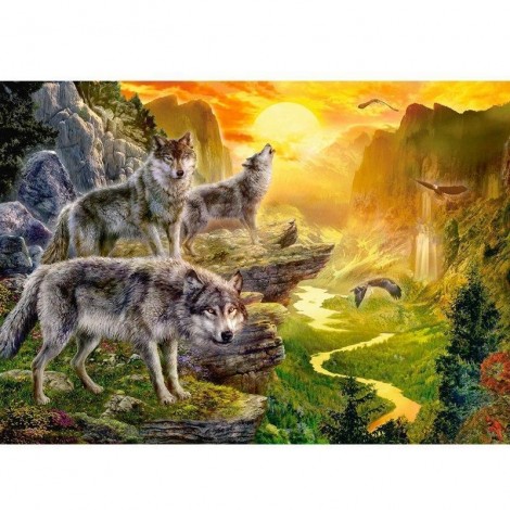 Wolf - Natuur, Diamond Painting