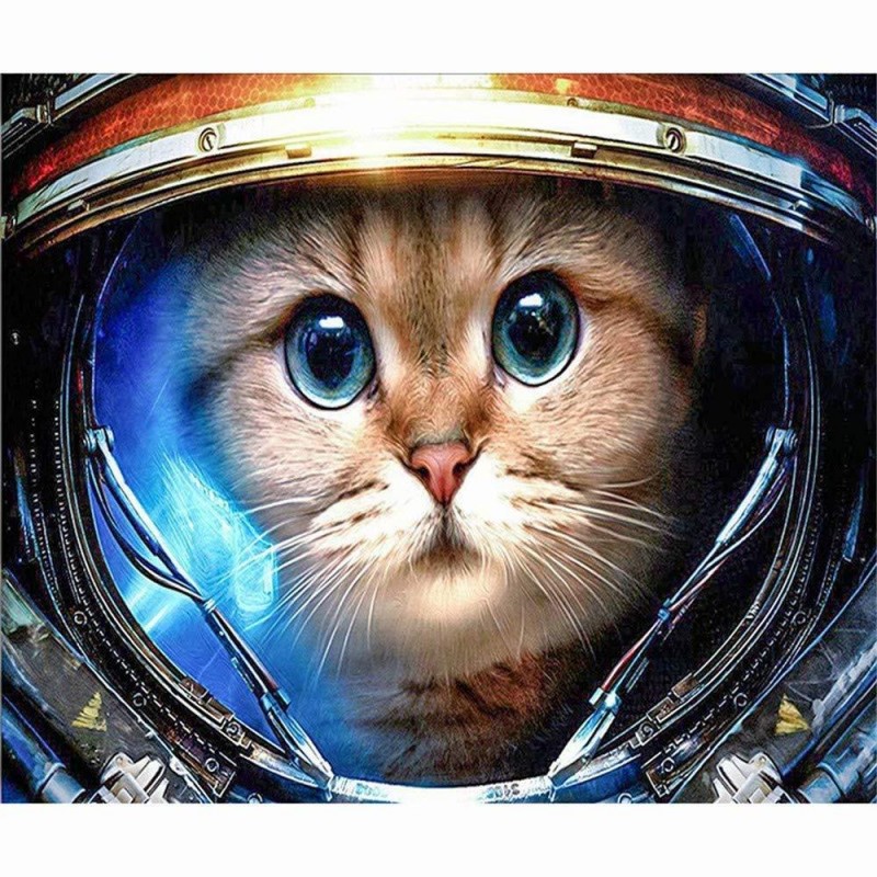 Kat Astronaut, Diamo...