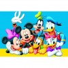 Mickey Mouse & Vrienden, Diamond Painting