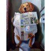 Hond Leest Krant, Diamond Painting